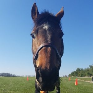 Meet your Posher, Brooke